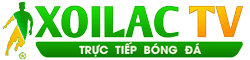 các trận đấu hôm nay